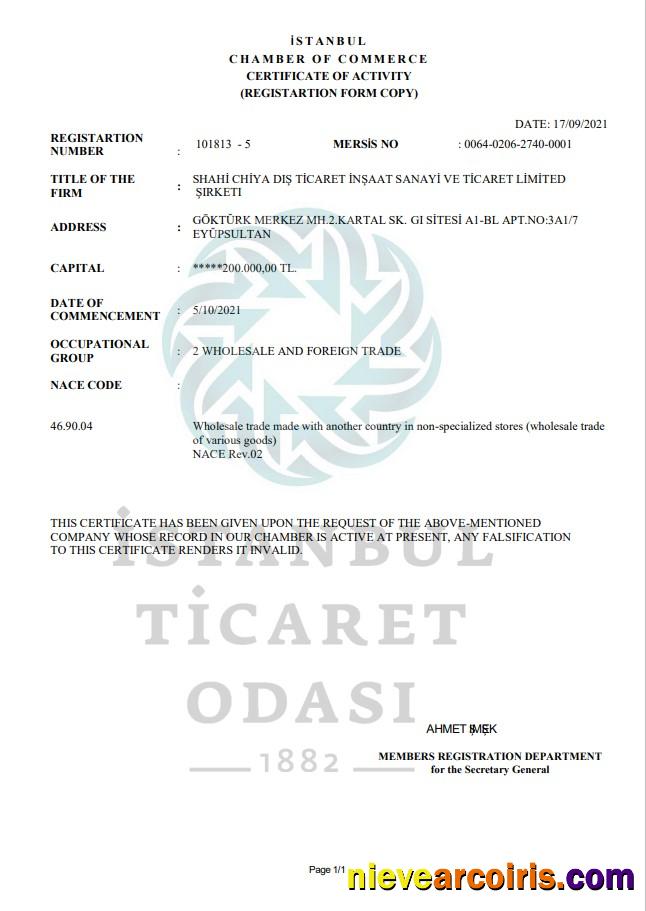 Turkey Istanbul Certificate of Activity
